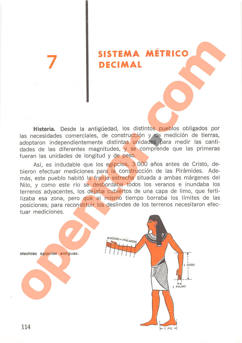 Aritmética de Repetto 2 - Página 114