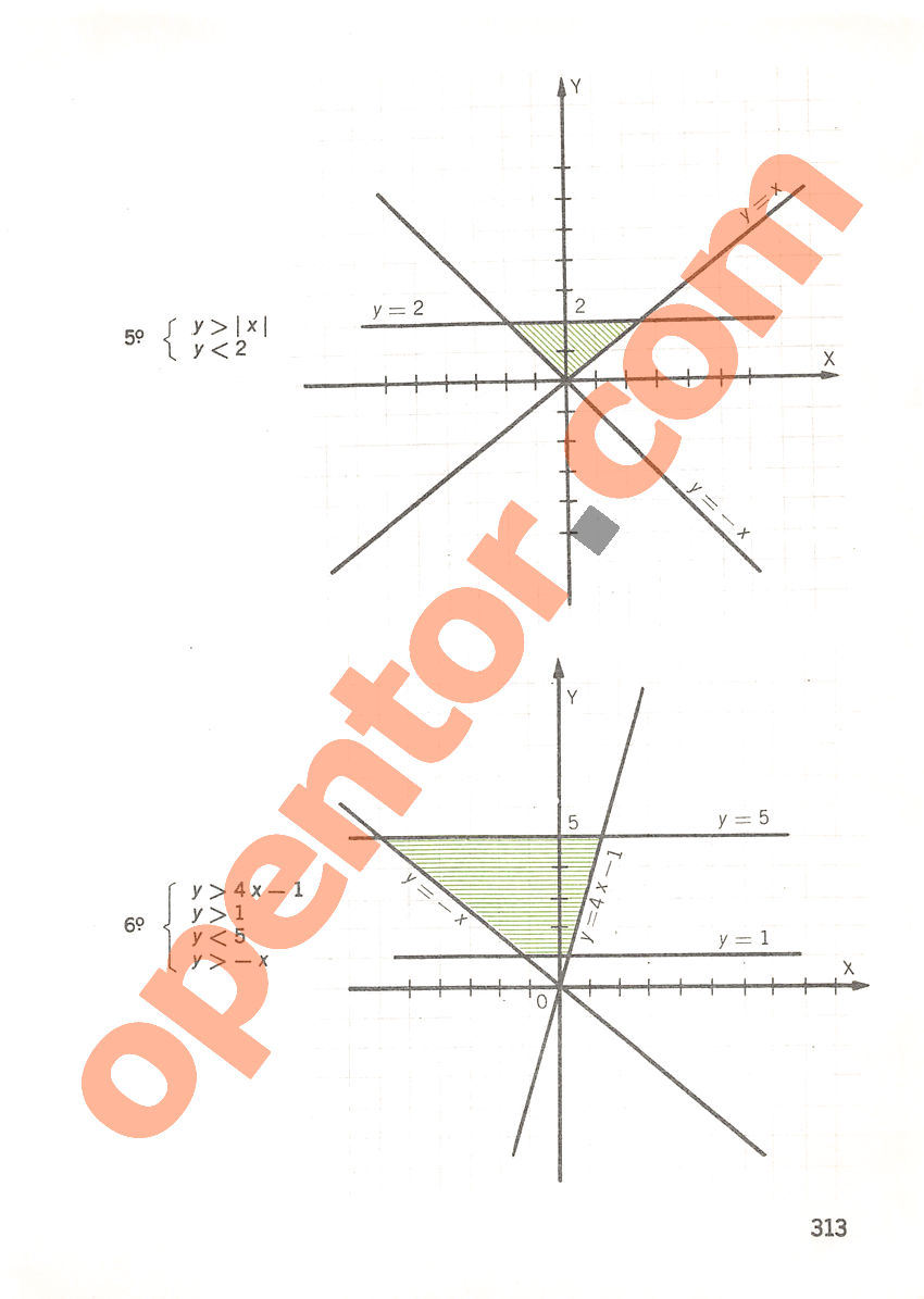 Aritmética de Repetto 3 - Página 313