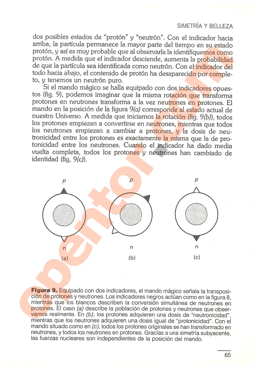 Superfuerza de Paul Davies - Página 65