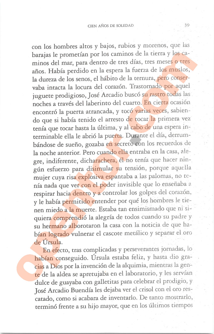 Cien años de soledad de Gabriel García Márquez - Página 39