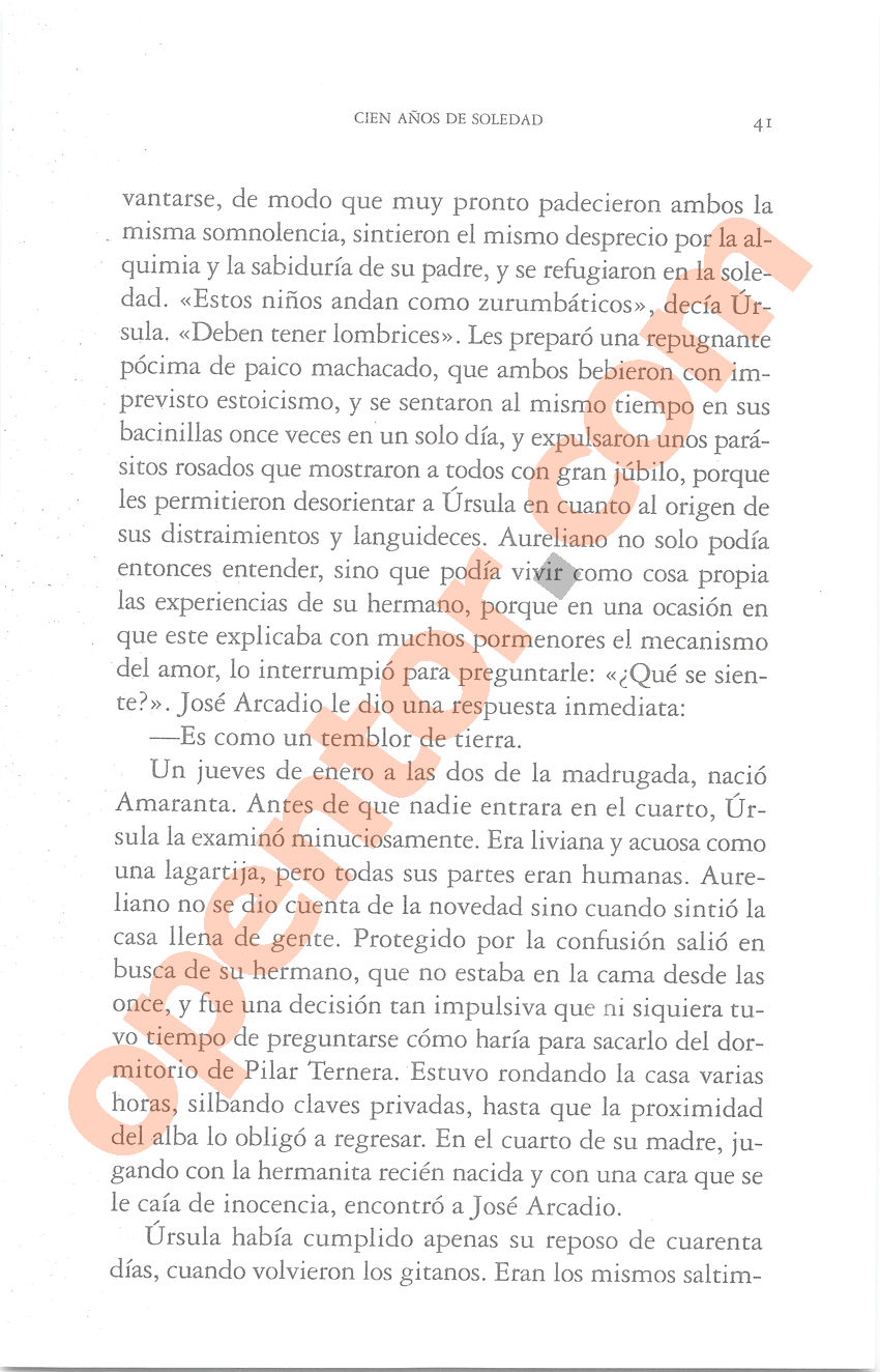 Cien años de soledad de Gabriel García Márquez - Página 41