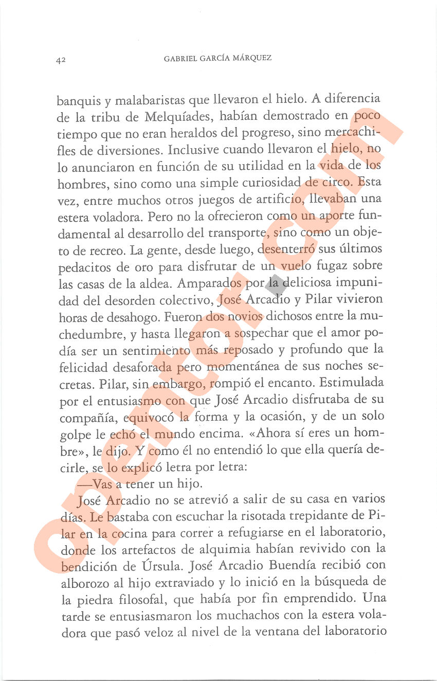 Cien años de soledad de Gabriel García Márquez - Página 42