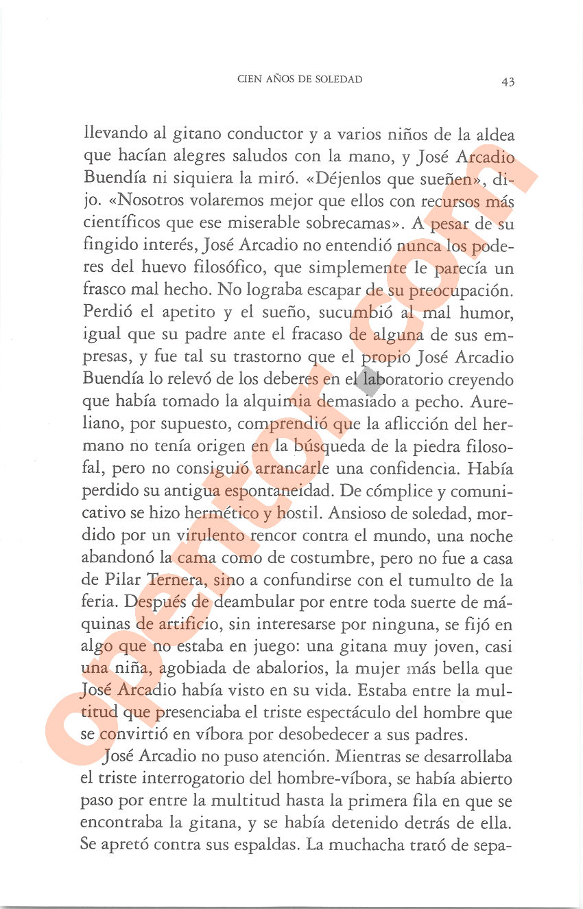 Cien años de soledad de Gabriel García Márquez - Página 43