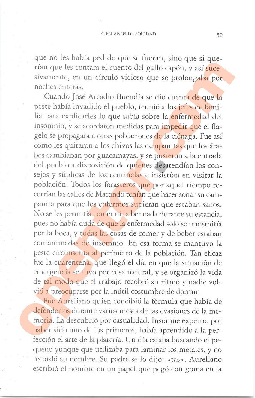 Cien años de soledad de Gabriel García Márquez - Página 59
