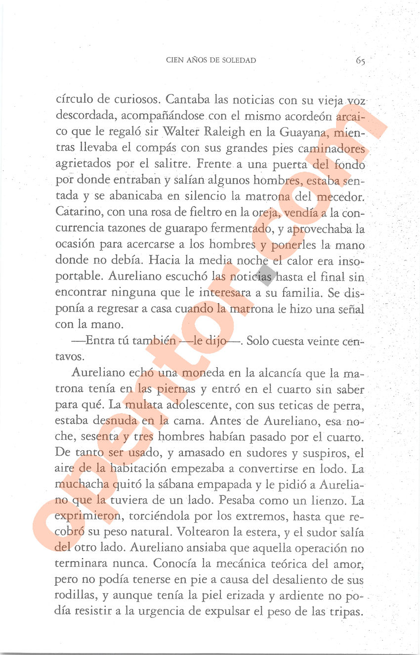 Cien años de soledad de Gabriel García Márquez - Página 65