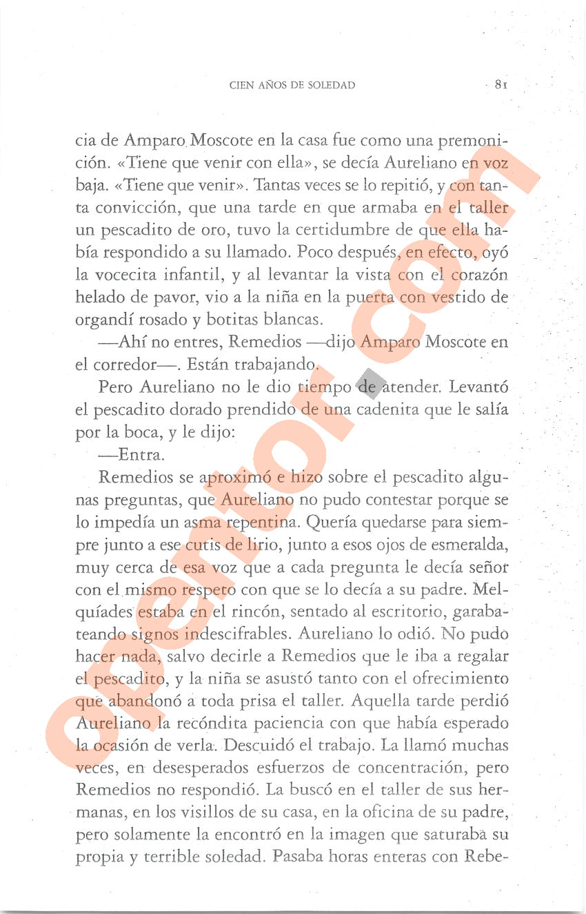 Cien años de soledad de Gabriel García Márquez - Página 81