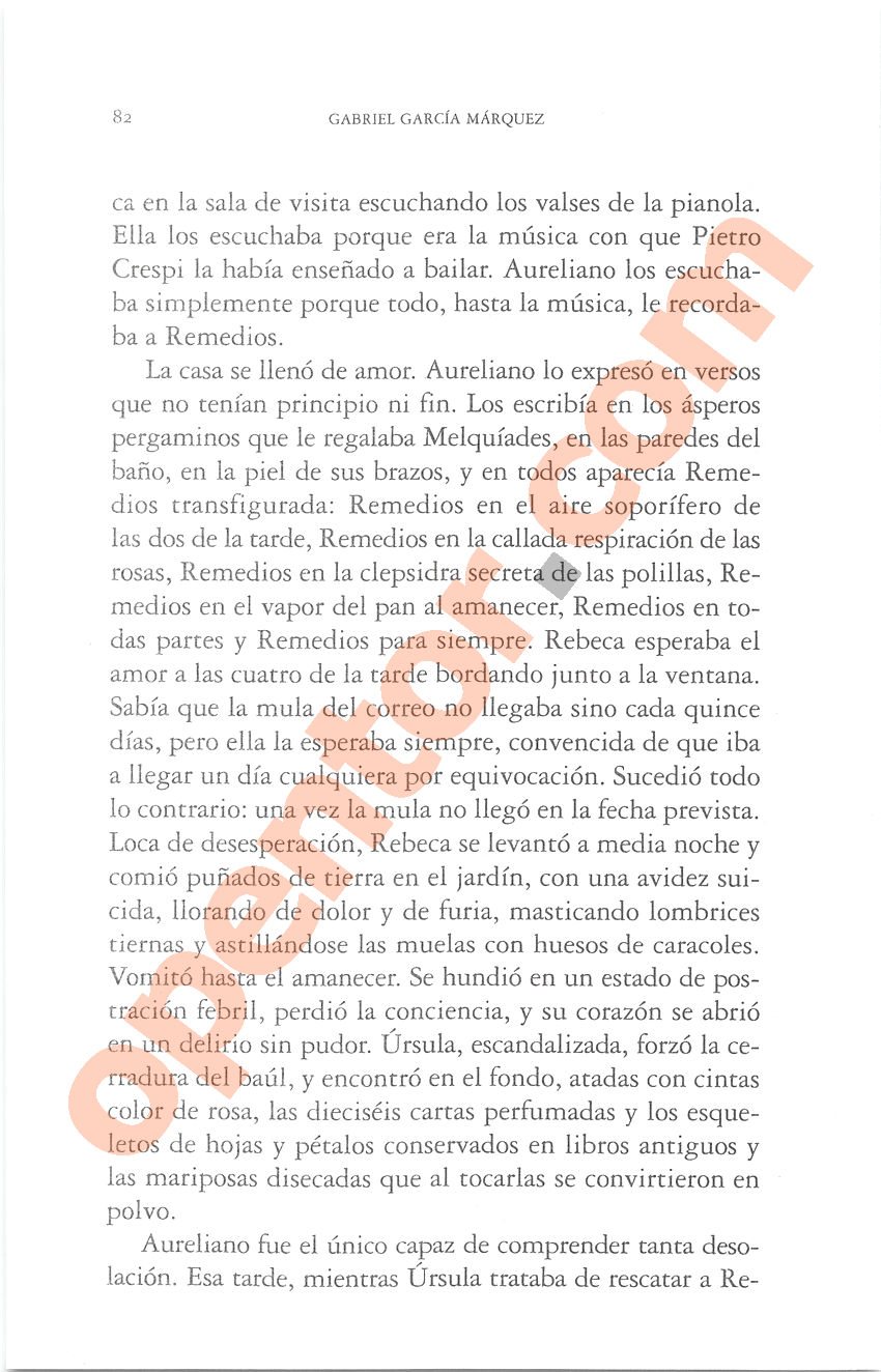 Cien años de soledad de Gabriel García Márquez - Página 82