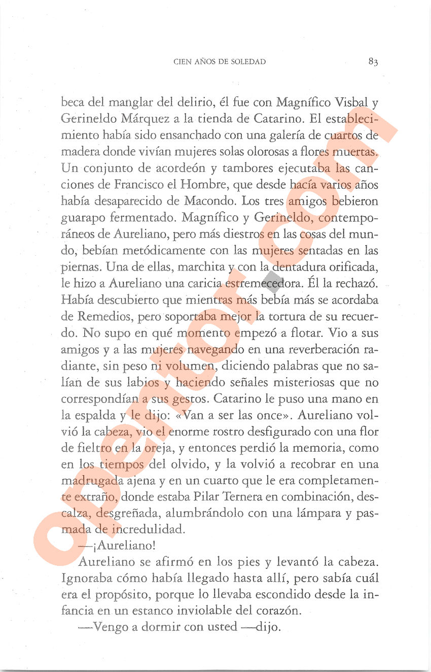 Cien años de soledad de Gabriel García Márquez - Página 83