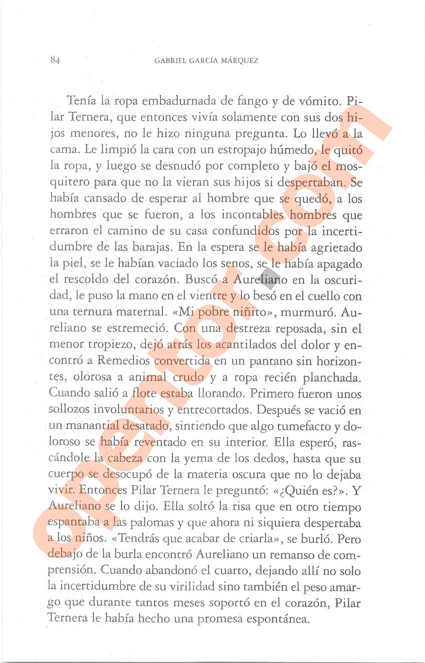 Cien años de soledad de Gabriel García Márquez - Página 84