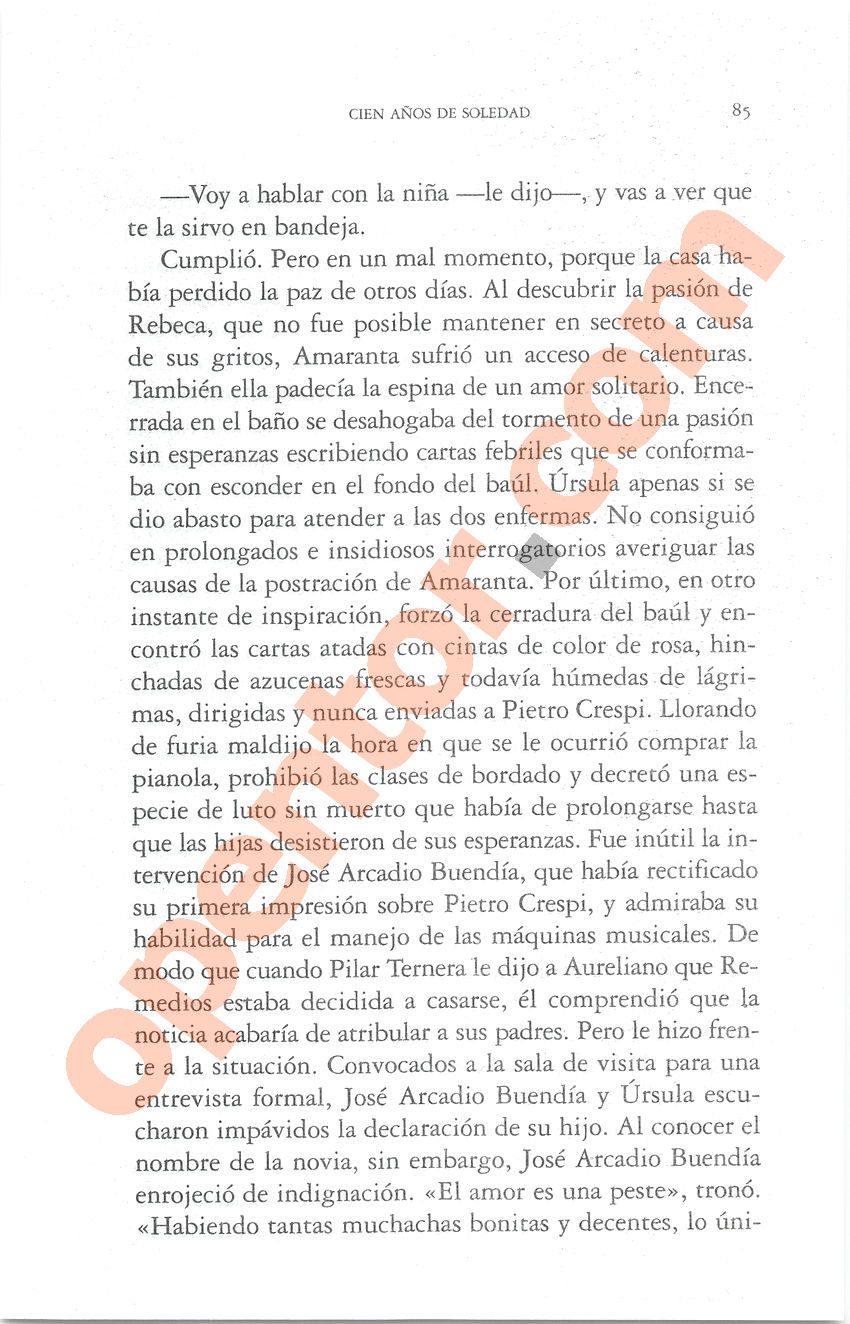 Cien años de soledad de Gabriel García Márquez - Página 85