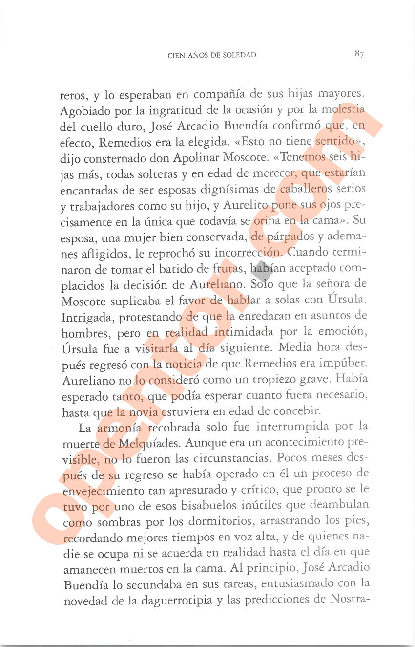 Cien años de soledad de Gabriel García Márquez - Página 87