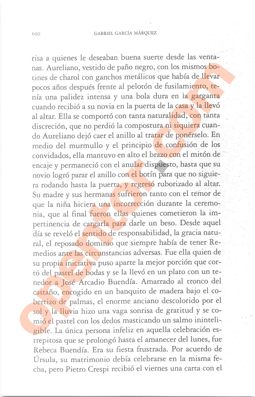 Cien años de soledad de Gabriel García Márquez - Página 100