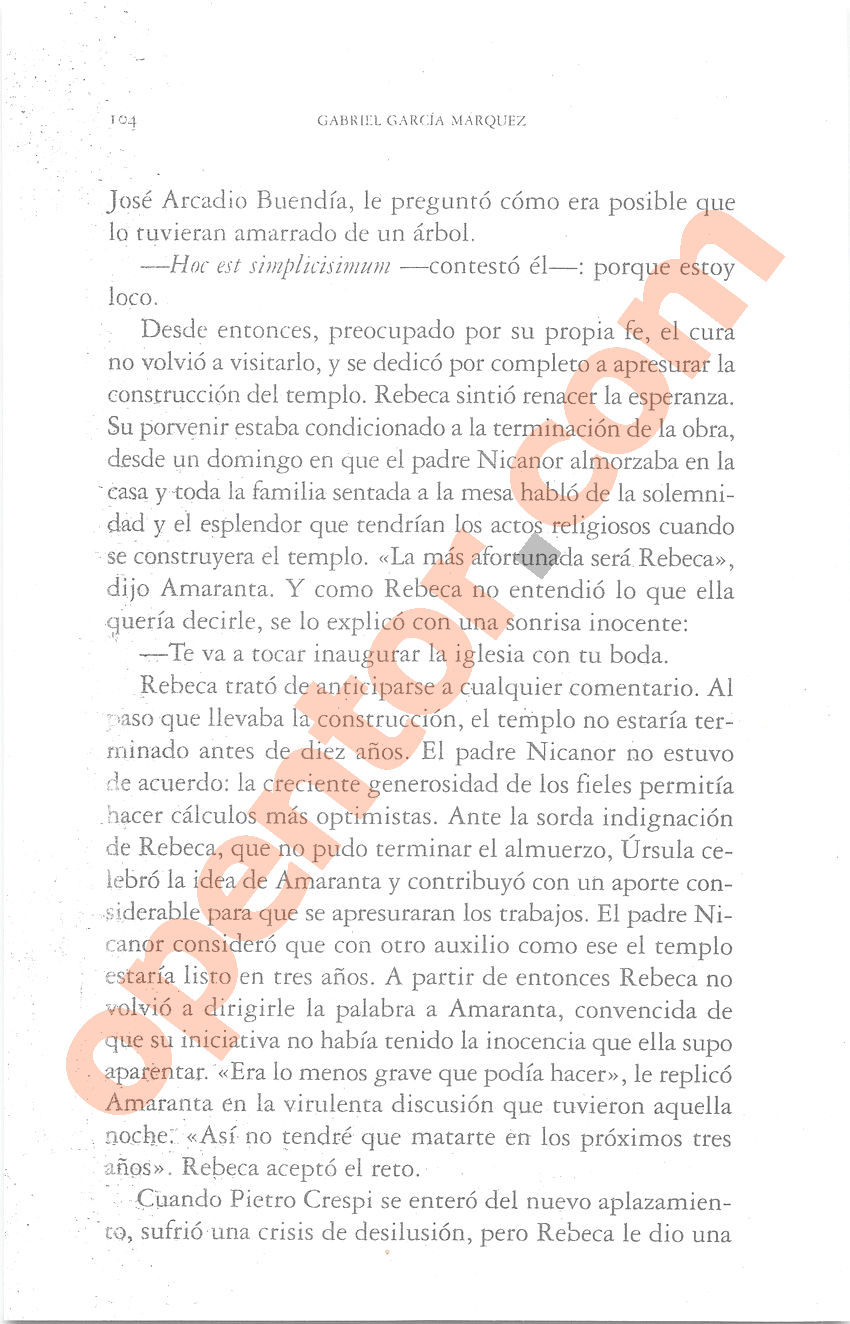 Cien años de soledad de Gabriel García Márquez - Página 104