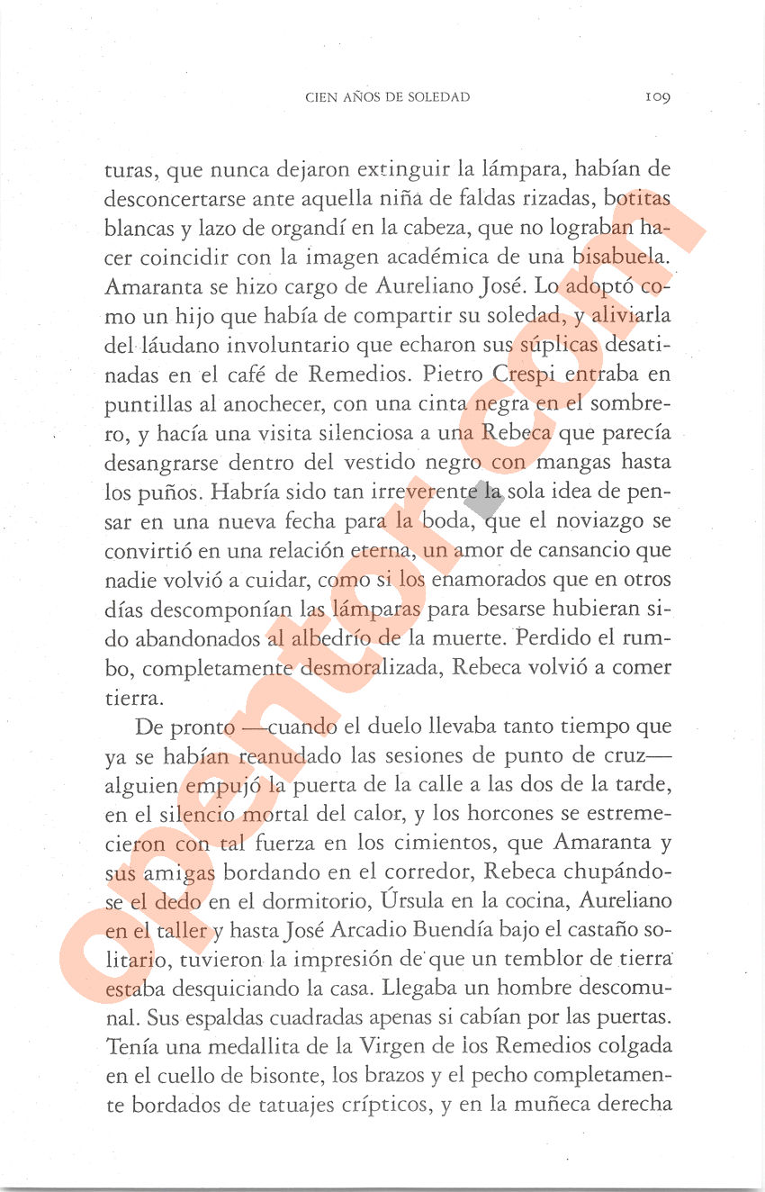 Cien años de soledad de Gabriel García Márquez - Página 109
