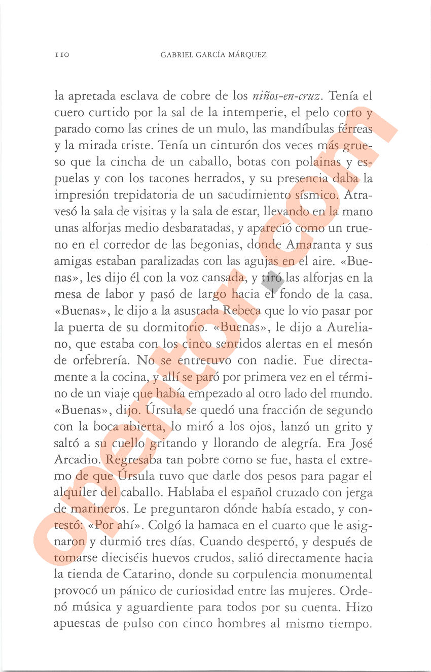 Cien años de soledad de Gabriel García Márquez - Página 110