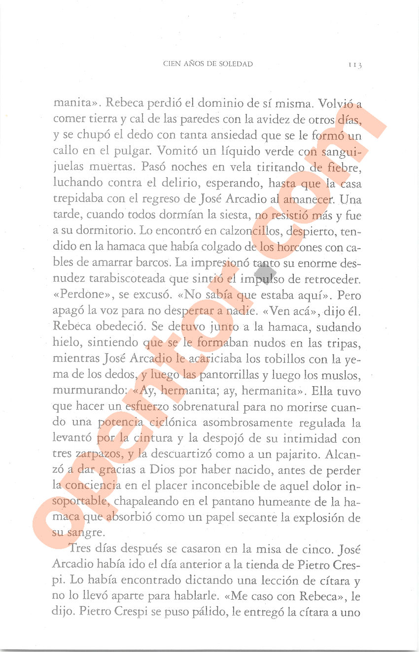 Cien años de soledad de Gabriel García Márquez - Página 113