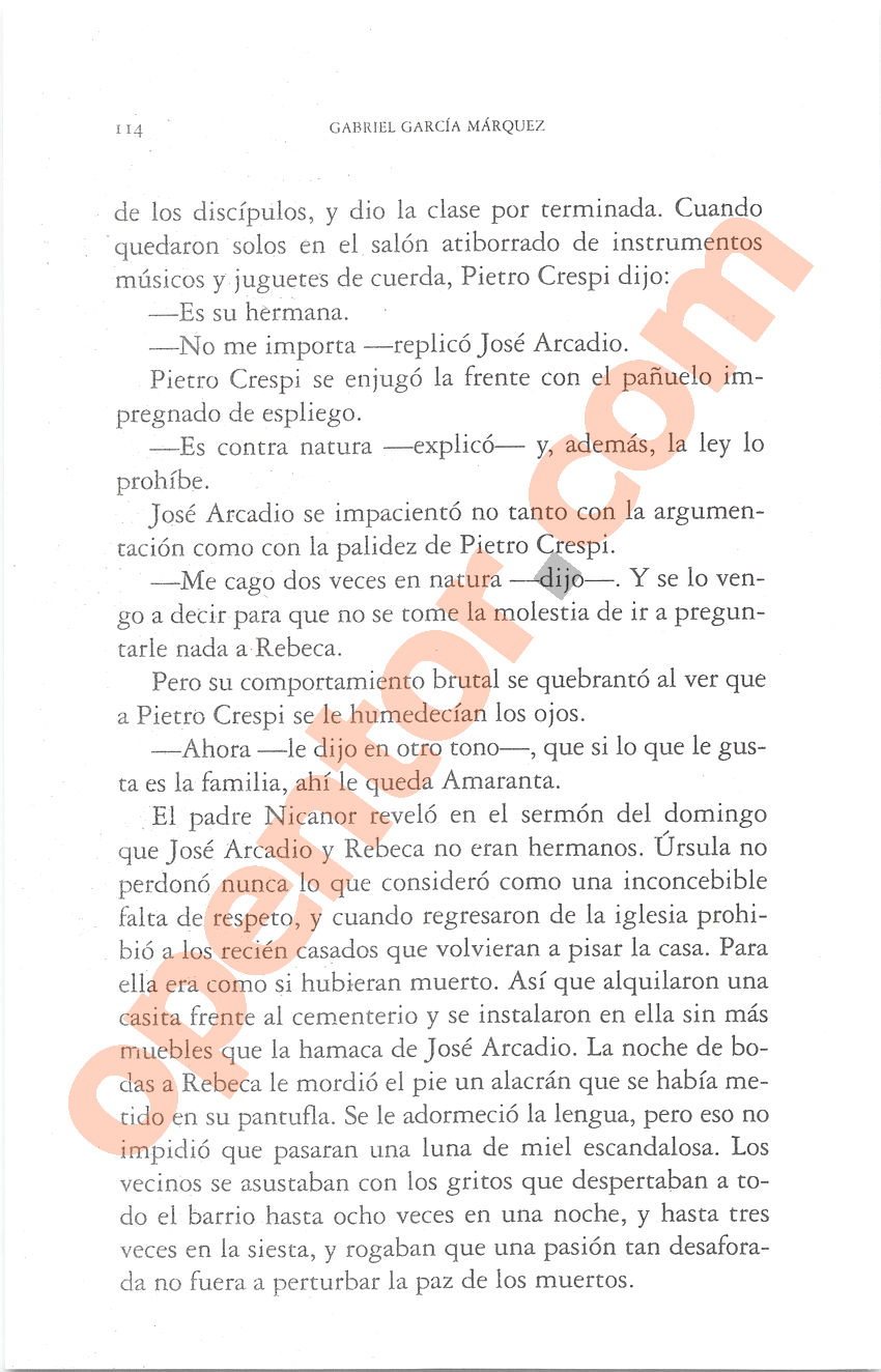 Cien años de soledad de Gabriel García Márquez - Página 114