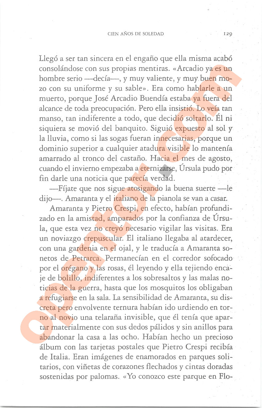 Cien años de soledad de Gabriel García Márquez - Página 129