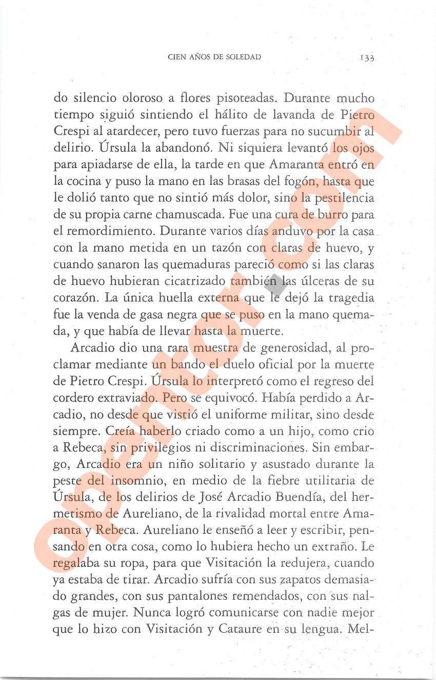 Cien años de soledad de Gabriel García Márquez - Página 133
