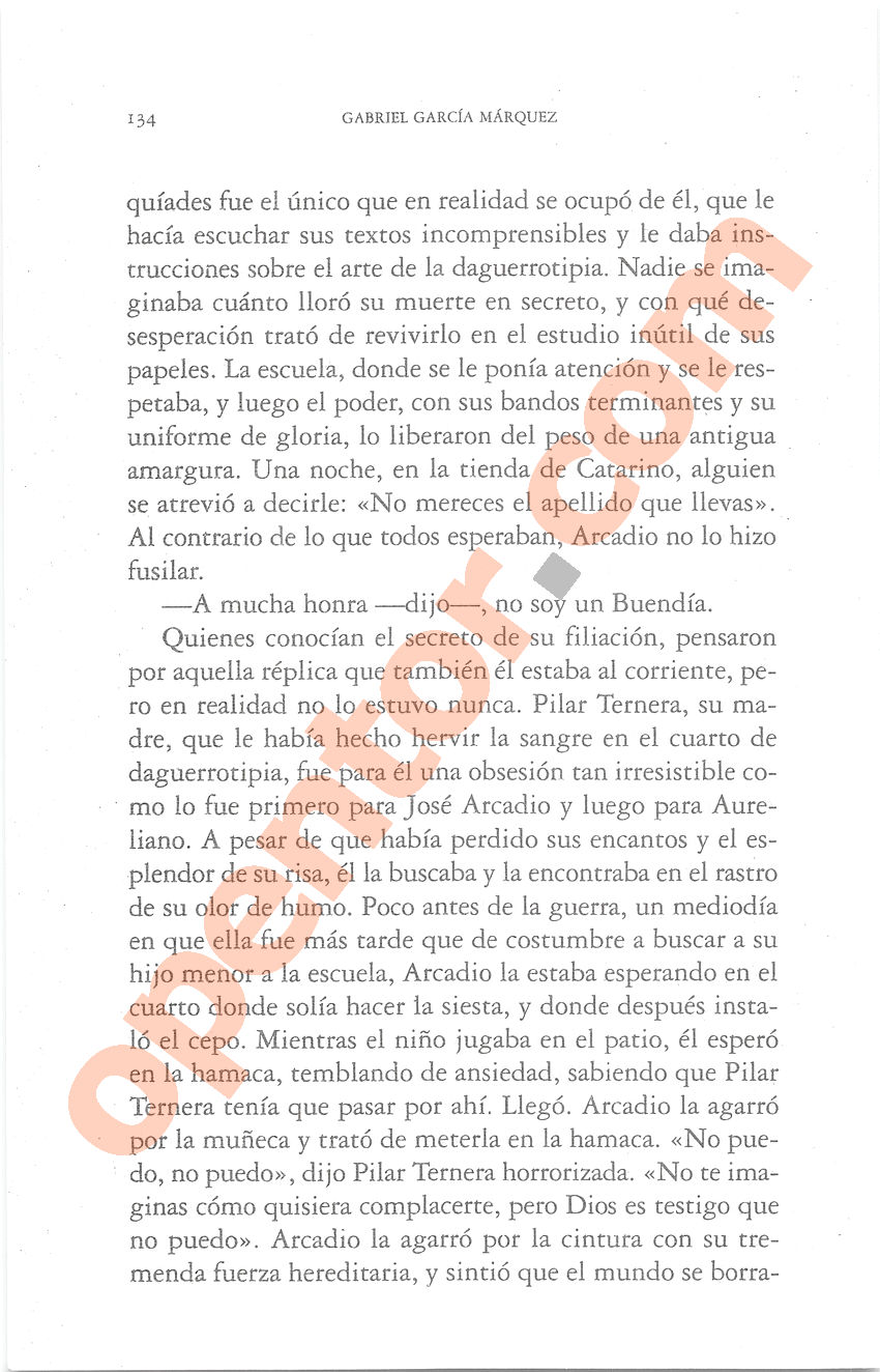 Cien años de soledad de Gabriel García Márquez - Página 134