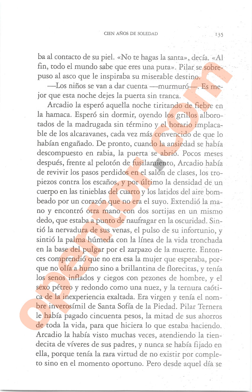 Cien años de soledad de Gabriel García Márquez - Página 135