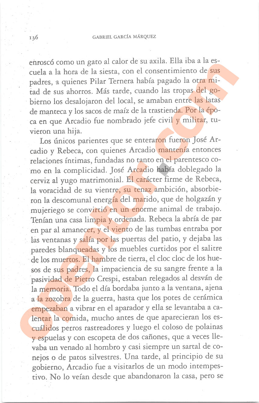 Cien años de soledad de Gabriel García Márquez - Página 136