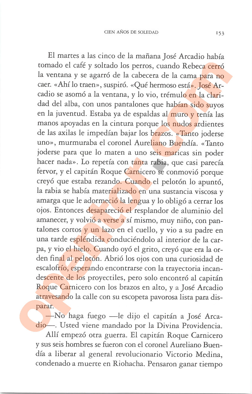 Cien años de soledad de Gabriel García Márquez - Página 153