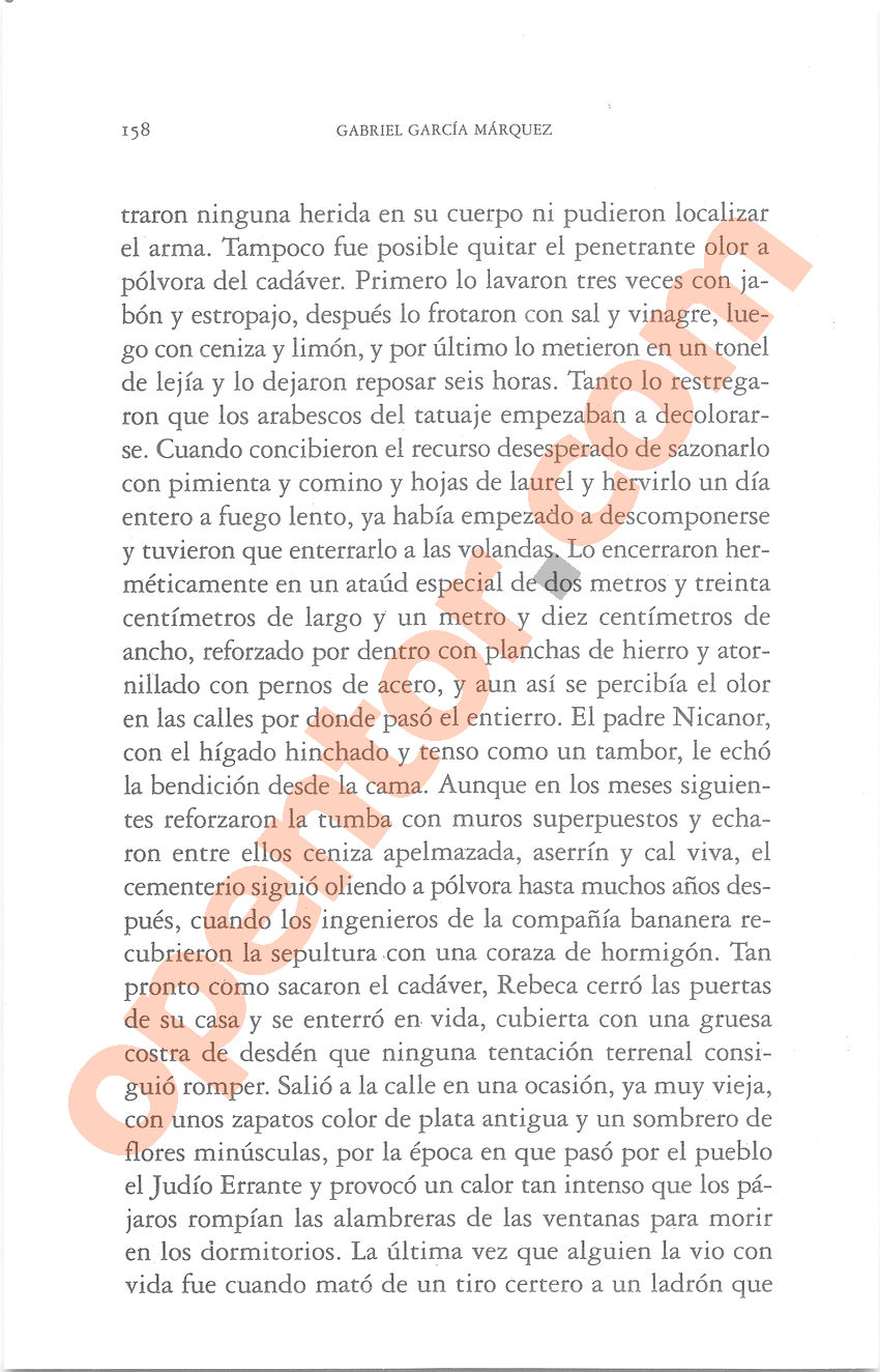 Cien años de soledad de Gabriel García Márquez - Página 158