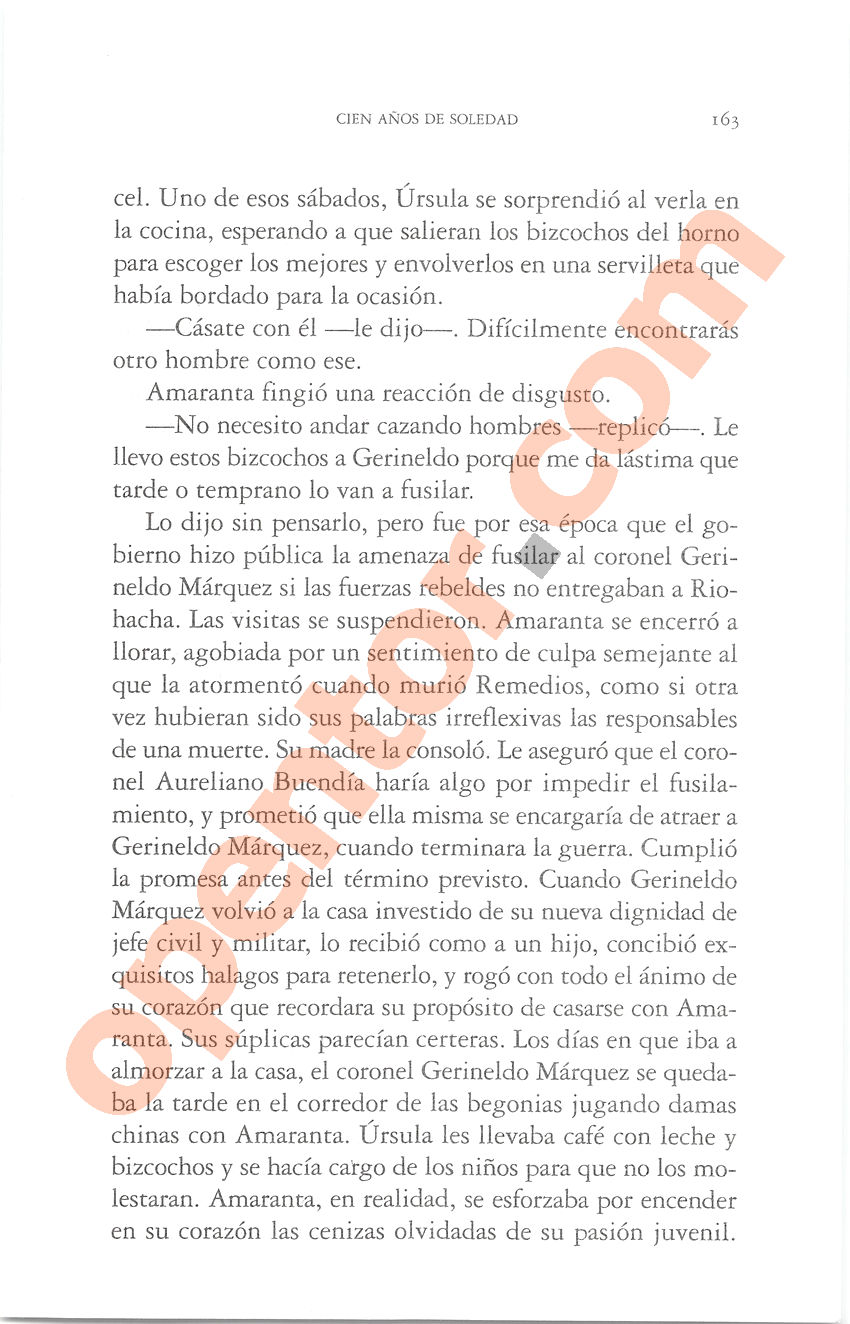 Cien años de soledad de Gabriel García Márquez - Página 163