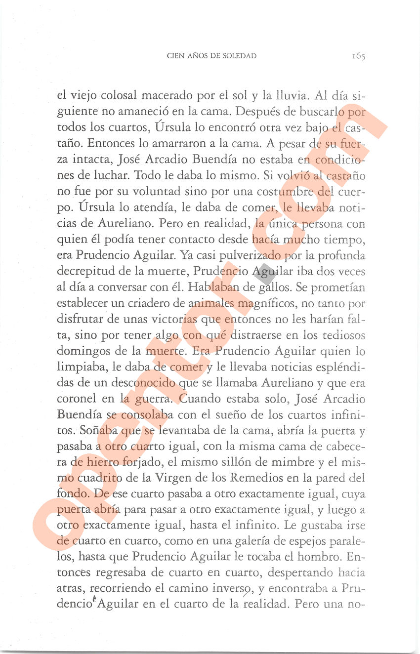 Cien años de soledad de Gabriel García Márquez - Página 165