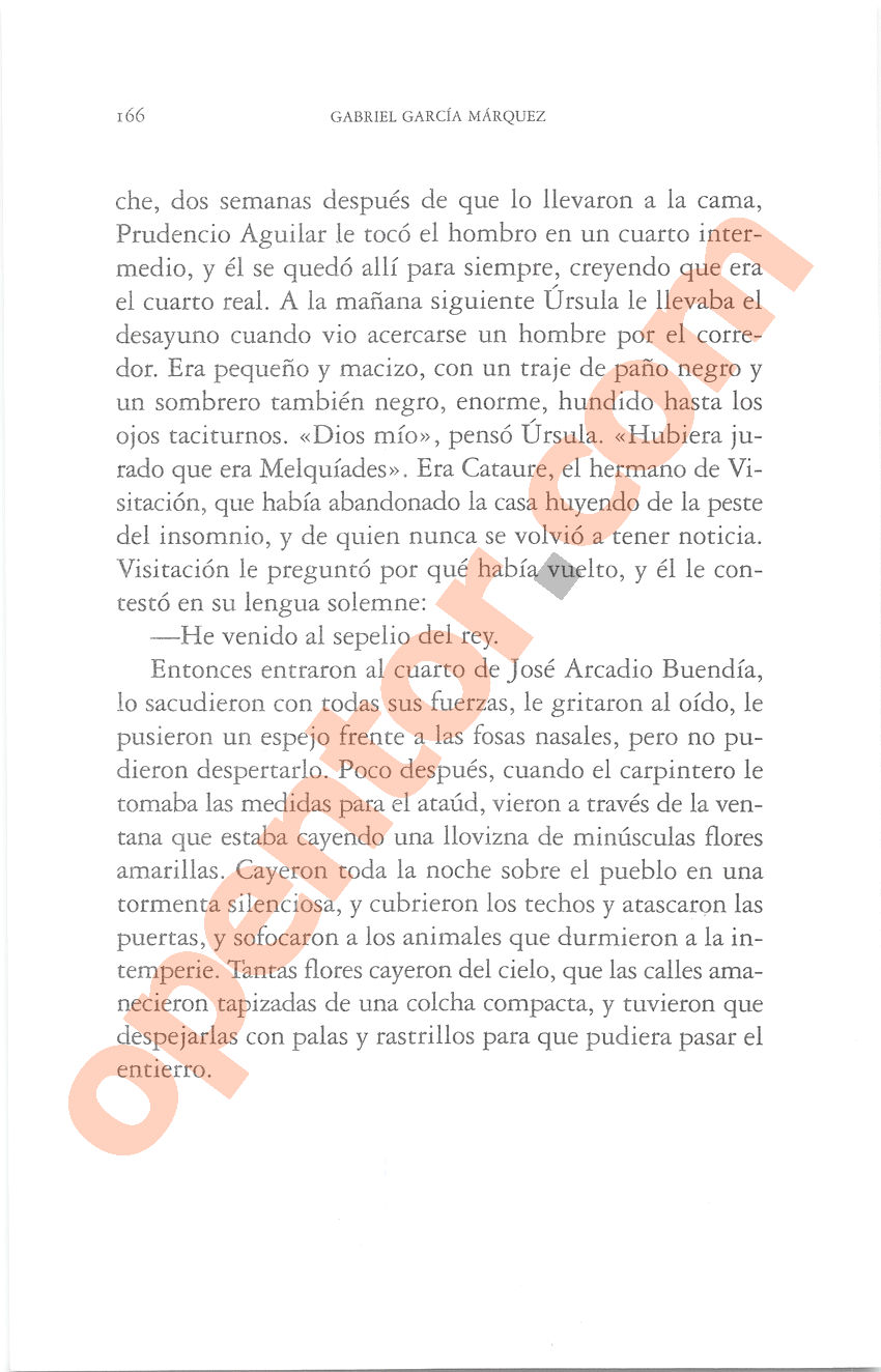 Cien años de soledad de Gabriel García Márquez - Página 166