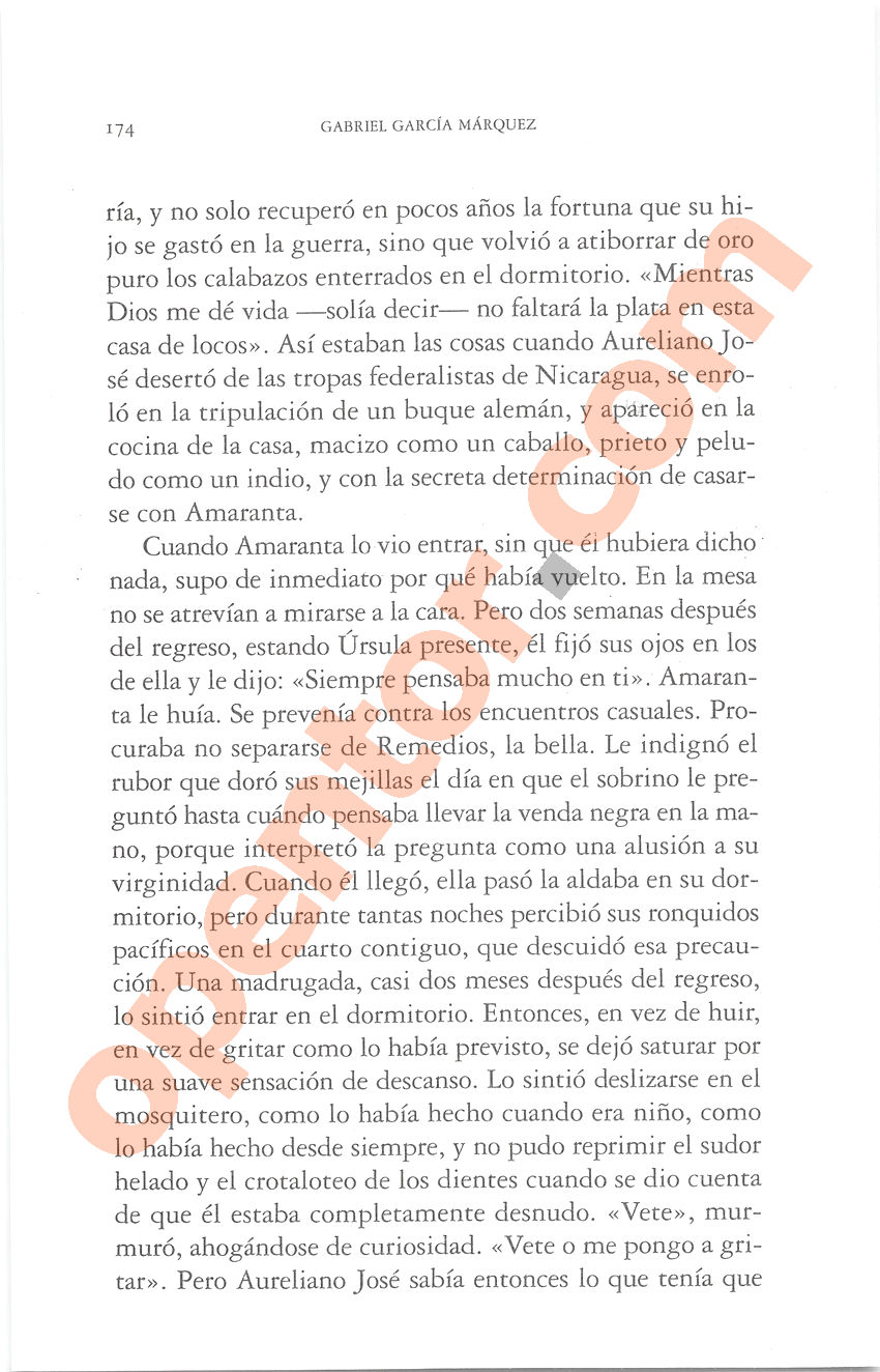 Cien años de soledad de Gabriel García Márquez - Página 174