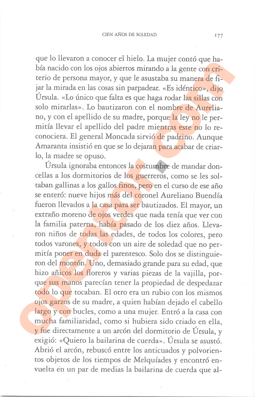 Cien años de soledad de Gabriel García Márquez - Página 177