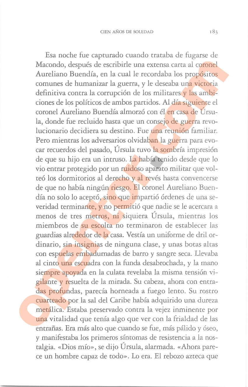 Cien años de soledad de Gabriel García Márquez - Página 183