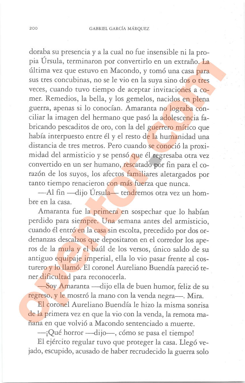 Cien años de soledad de Gabriel García Márquez - Página 200
