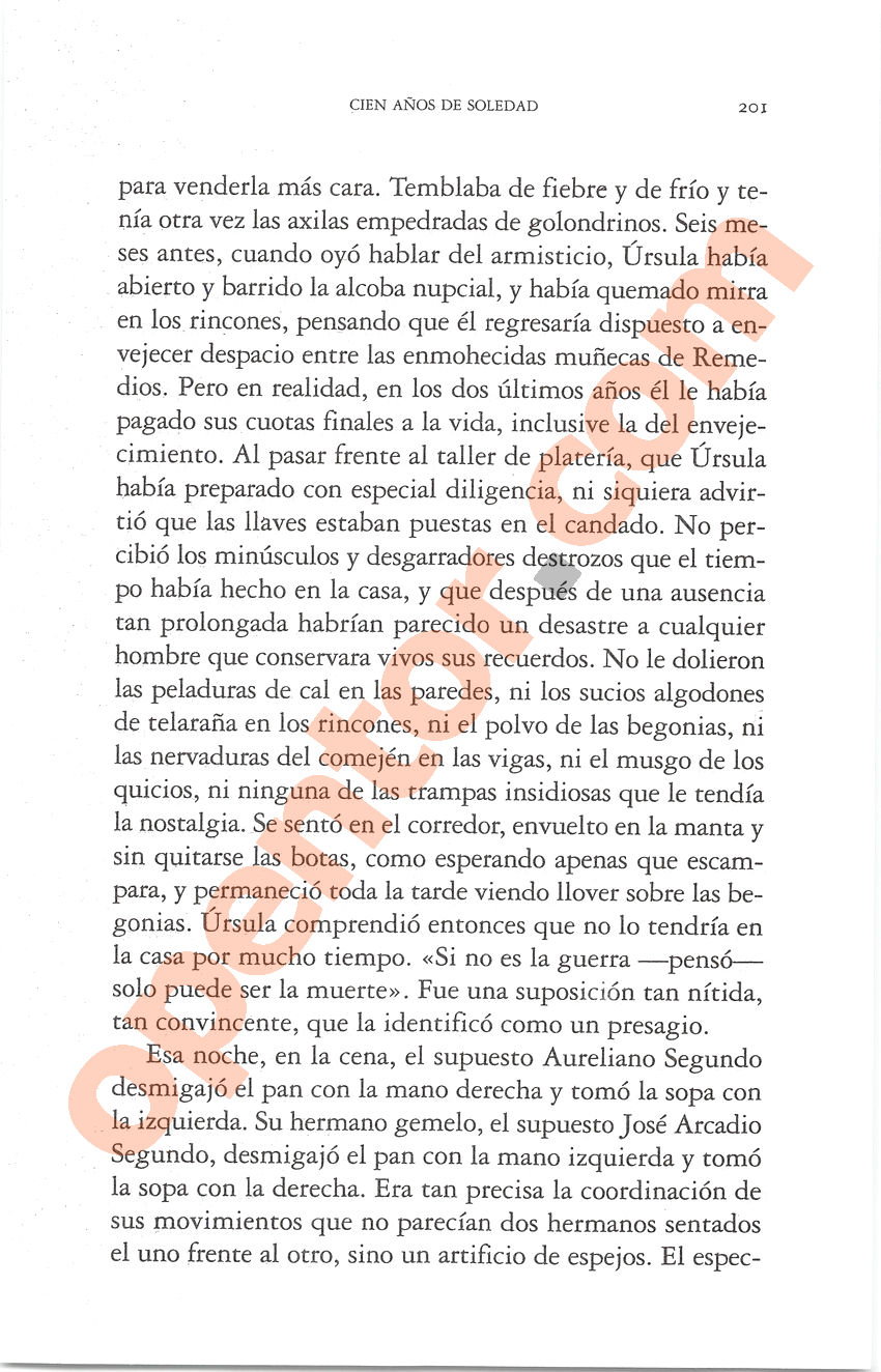 Cien años de soledad de Gabriel García Márquez - Página 201
