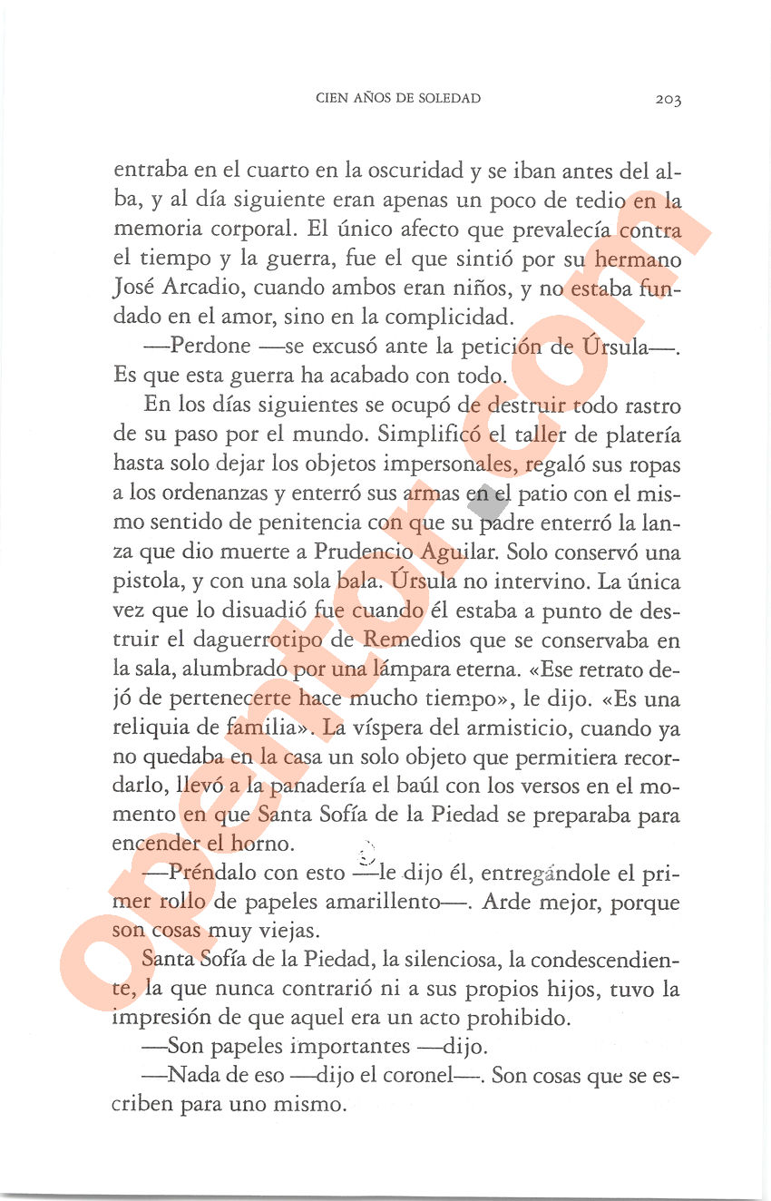Cien años de soledad de Gabriel García Márquez - Página 203