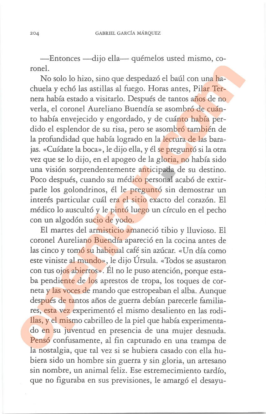 Cien años de soledad de Gabriel García Márquez - Página 204