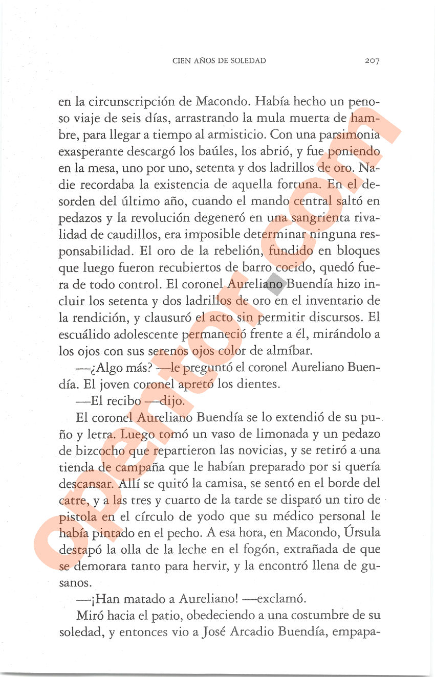 Cien años de soledad de Gabriel García Márquez - Página 207