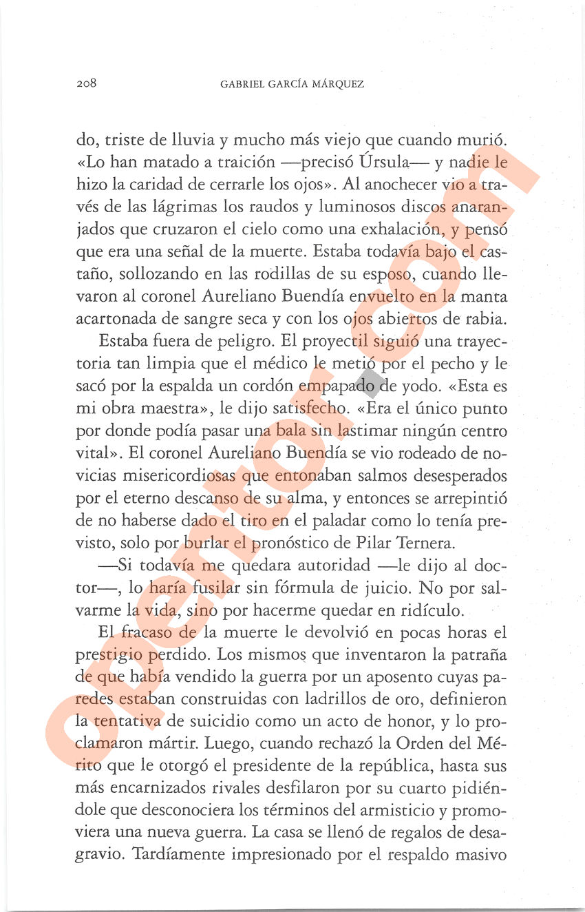 Cien años de soledad de Gabriel García Márquez - Página 208