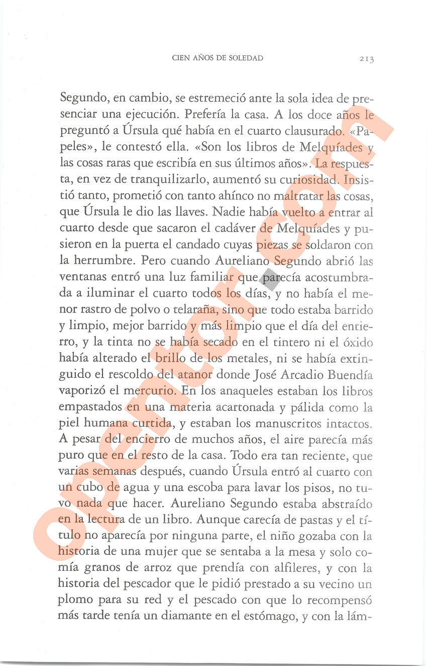Cien años de soledad de Gabriel García Márquez - Página 213