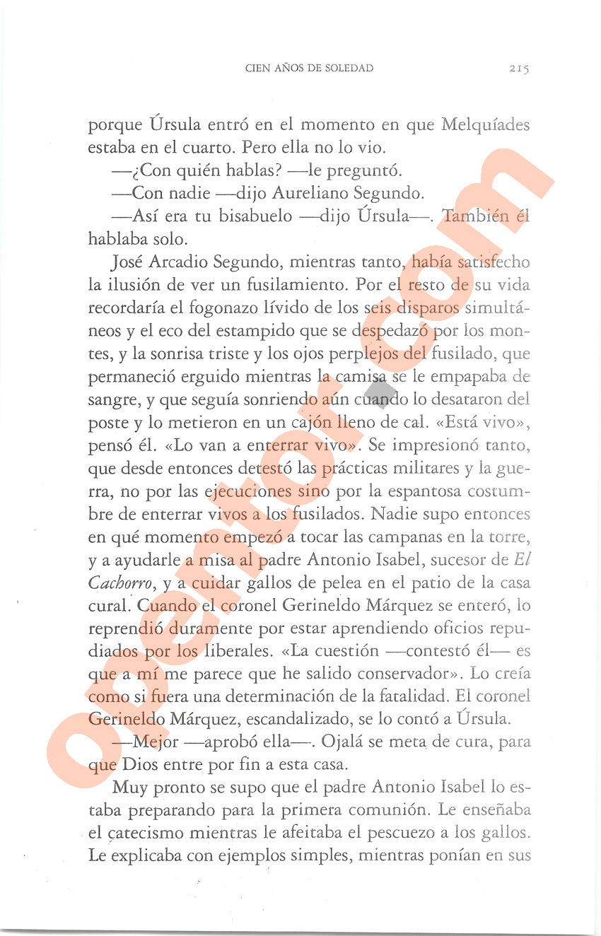 Cien años de soledad de Gabriel García Márquez - Página 215