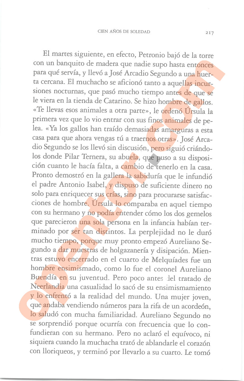 Cien años de soledad de Gabriel García Márquez - Página 217
