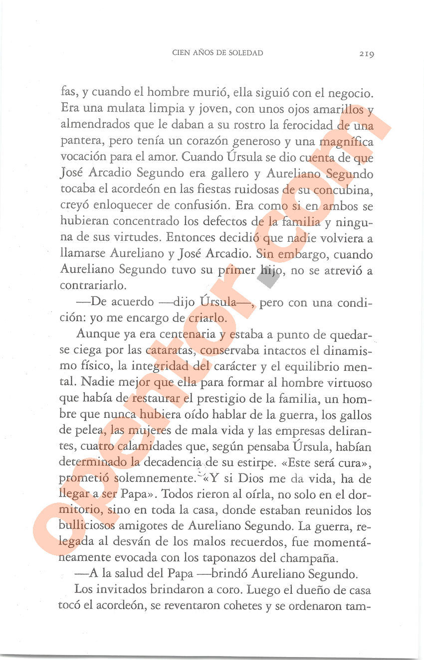 Cien años de soledad de Gabriel García Márquez - Página 219
