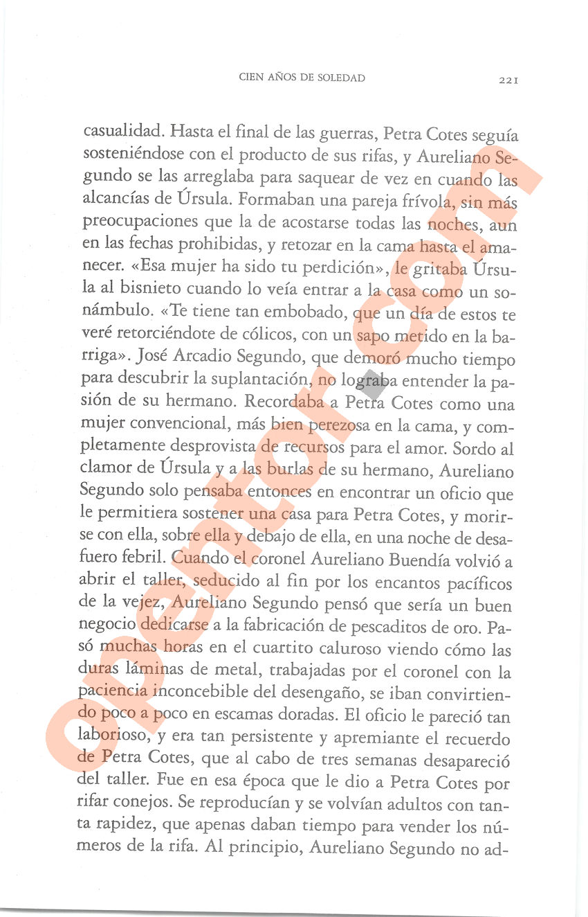 Cien años de soledad de Gabriel García Márquez - Página 221