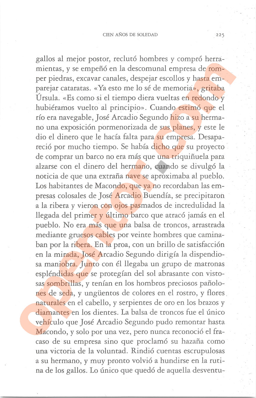 Cien años de soledad de Gabriel García Márquez - Página 225