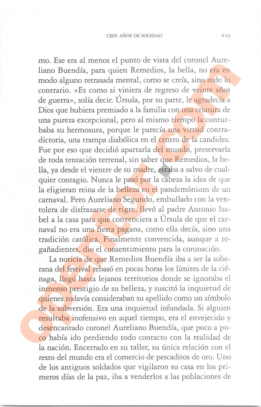 Cien años de soledad de Gabriel García Márquez - Página 229