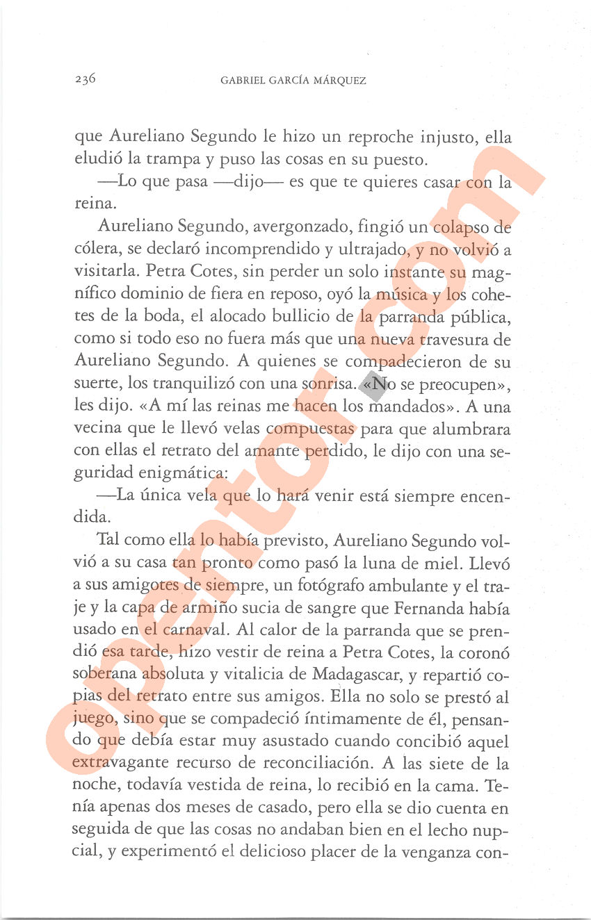 Cien años de soledad de Gabriel García Márquez - Página 236