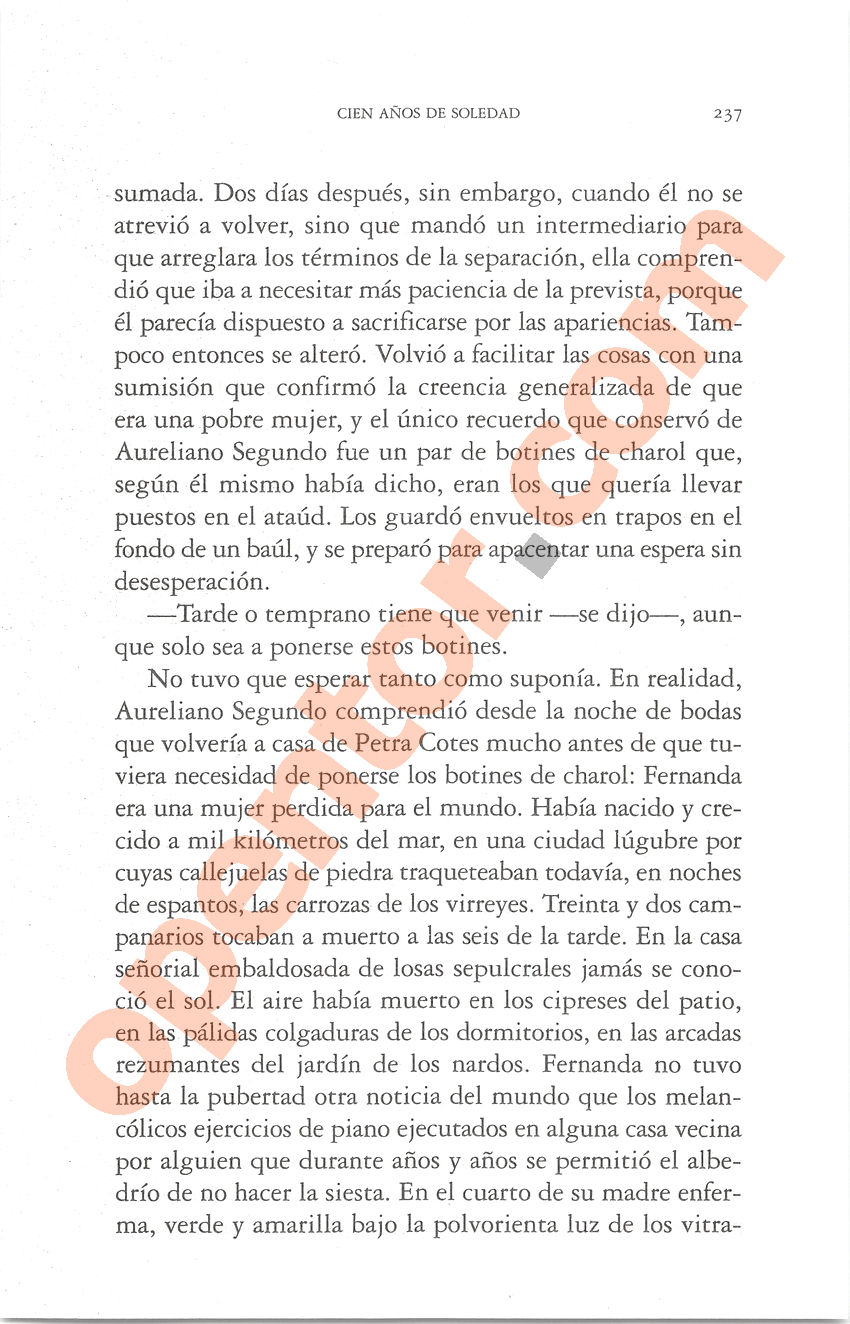 Cien años de soledad de Gabriel García Márquez - Página 237