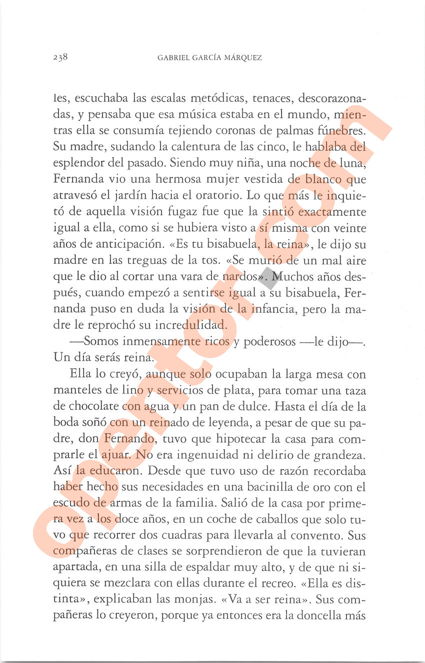 Cien años de soledad de Gabriel García Márquez - Página 238